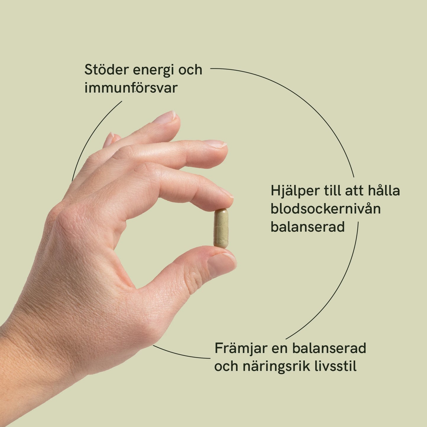 Moringa-pulverkapslar