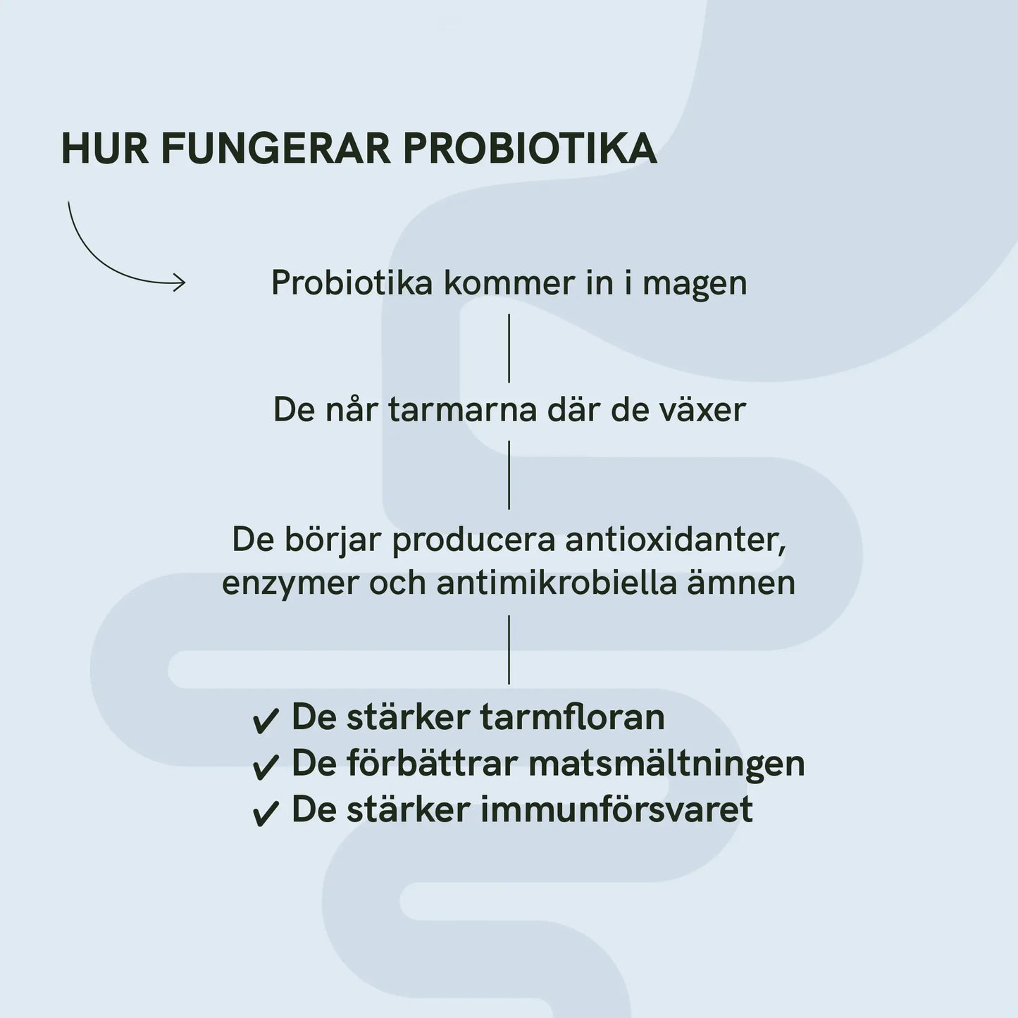 3 för 2 Probiotika