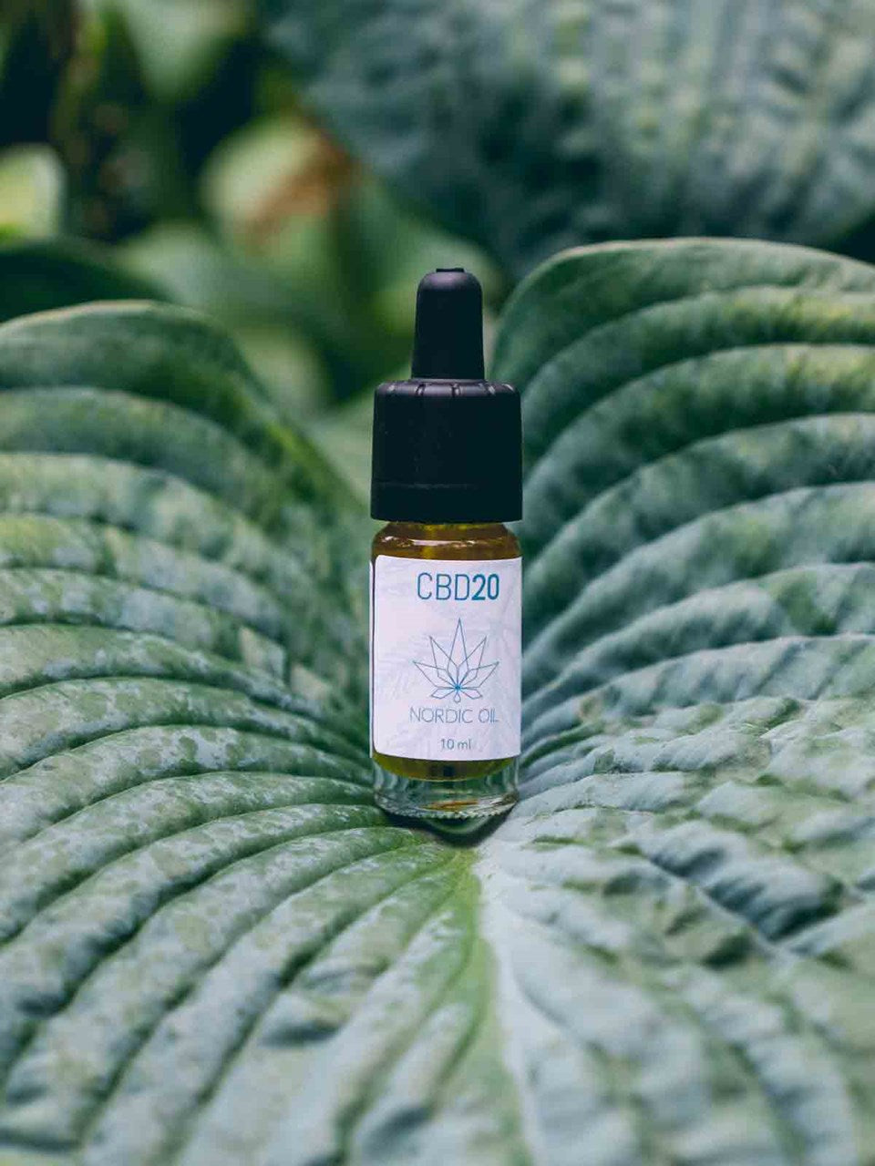 CBD Aroma Oil (20%) - Prenumeration