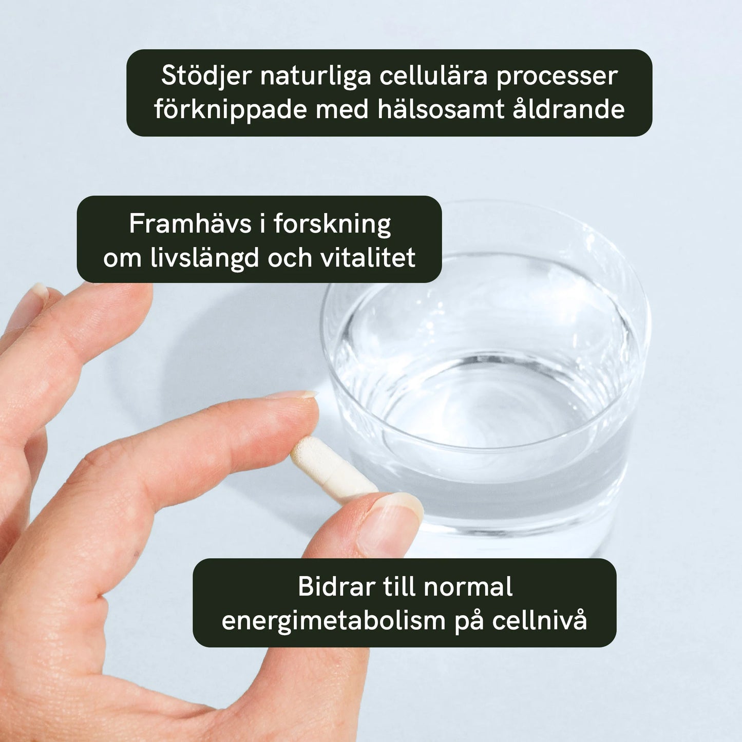 Nikotinamidribosid (NR) kapslar