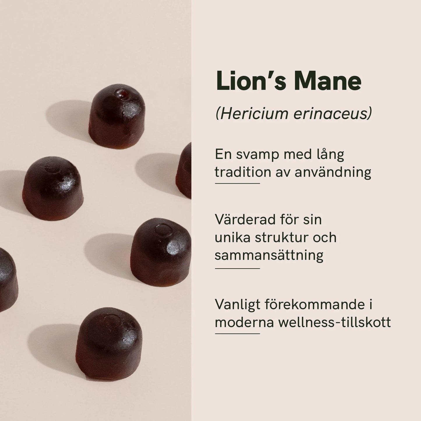 Lion's Mane svampgummies